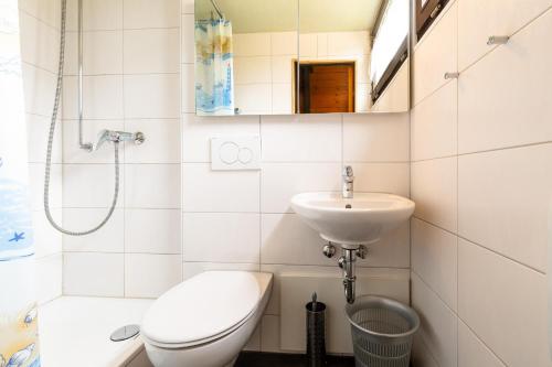 een badkamer met een toilet en een wastafel bij Ferienwohnpark Immenstaad am Bodensee Nurdachhaus Typ 7 ND 33 in Immenstaad am Bodensee