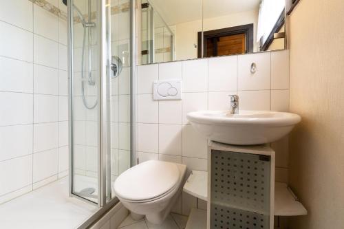 une salle de bain avec toilettes, lavabo et douche dans l'établissement Ferienwohnpark Immenstaad am Bodensee Nurdachhaus Typ 7 ND 48, à Immenstaad am Bodensee