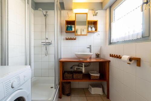 uma casa de banho com um lavatório e uma máquina de lavar roupa em Ferienwohnpark Immenstaad am Bodensee Nurdachhaus Typ 8 NDT 020 em Immenstaad am Bodensee