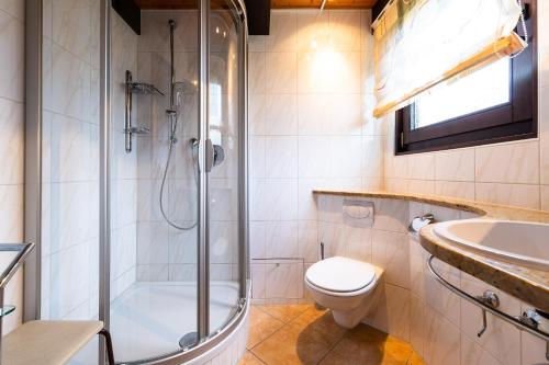 een badkamer met een douche, een toilet en een wastafel bij Ferienwohnpark Immenstaad am Bodensee Nurdachhaus Typ 8 NDT 089 in Immenstaad am Bodensee