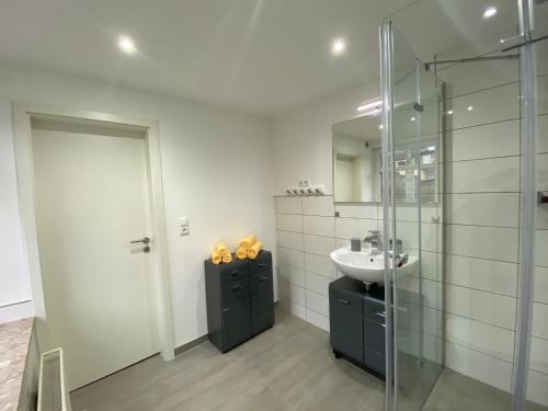 een badkamer met een wastafel en een glazen douche bij Ferienwohnung H&M Immobilien Hettstedt in Hettstedt