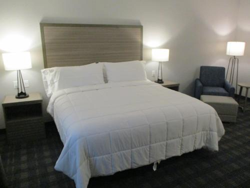 Postel nebo postele na pokoji v ubytování Best Western Plus Wills Point
