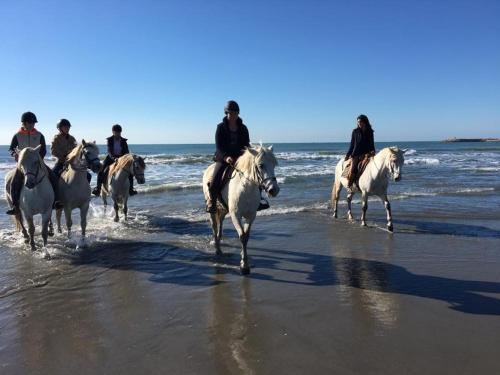 Horseback riding at the holiday home or nearby