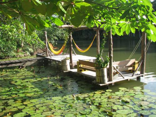 a hammock on a dock over a pond with lilies at El Hotelito Perdido in Río Dulce