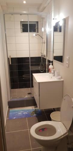 uma casa de banho com um chuveiro, um WC e um lavatório. em Bel appart moderne Roanne em Roanne