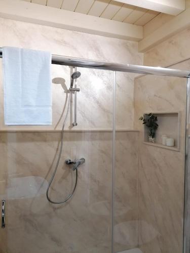 a shower in a bathroom with a glass shower stall at Le Stanze di Felline- Monolocali vacanze- in Felline