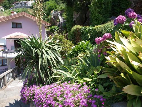 a garden with flowers and plants in front of a house at Casa Nora in Dervio