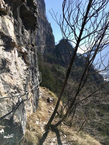 a view of a mountain with a tree in the foreground at La Casa dei Gelsomini in Arsiero