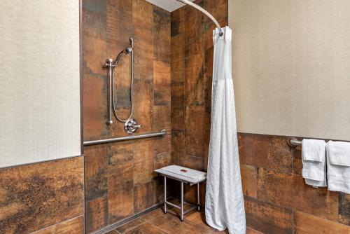 Kupatilo u objektu Kathryn Riverfront Inn, Ascend Hotel Collection