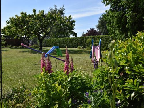 a garden with clotheslines in the grass at Gemütliche Ferienwohnung mit Garten in Robertsdorf in Blowatz