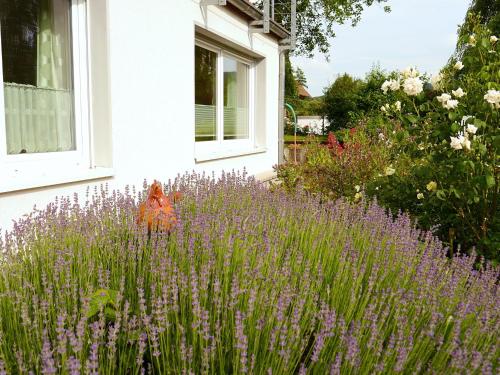 a garden with purple flowers in front of a house at Apartment in L wensen with private terrace in Bad Pyrmont