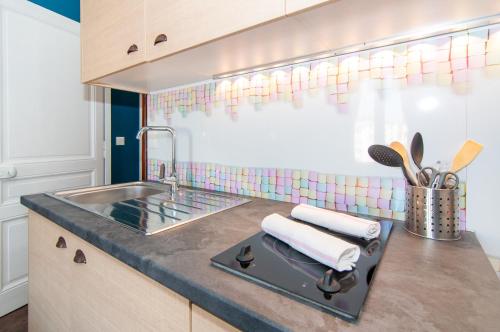 une cuisine avec un évier et un plan de travail dans l'établissement Les Charmettes - Lyon 6ième, à Lyon