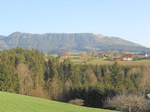 a green field with trees and houses on a hill at Privatzimmer Haus Gschweitl in Semriach