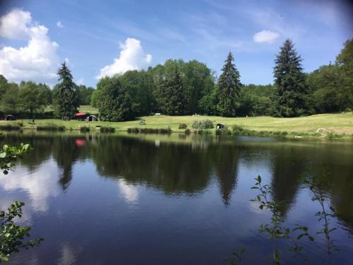 a view of a lake with trees in the background at L’Etang Carp fishing lake and Gite in Saint-Junien