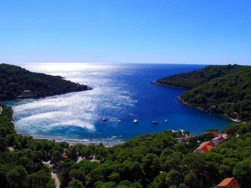 Φυσικό τοπίο κοντά σε αυτό το διαμέρισμα