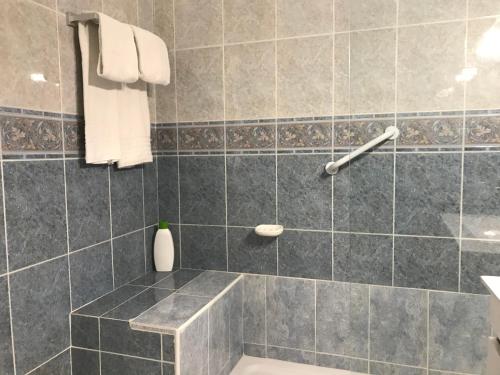 a bathroom with a toilet and a tiled wall at Apartamentos Barracuda in Faro