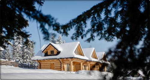 a small house covered in snow in the yard at Zdrojowy Gościniec - domki Rabka-Zdrój in Rabka