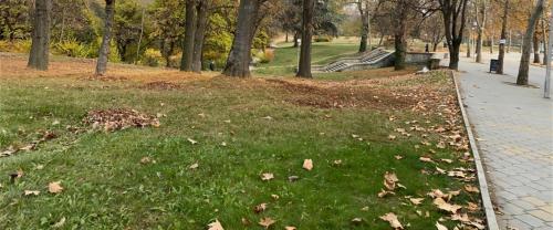 a park with leaves on the grass and a sidewalk at Fantasy Apartment 15 комплекс Фантазия, Хисаря in Hisarya