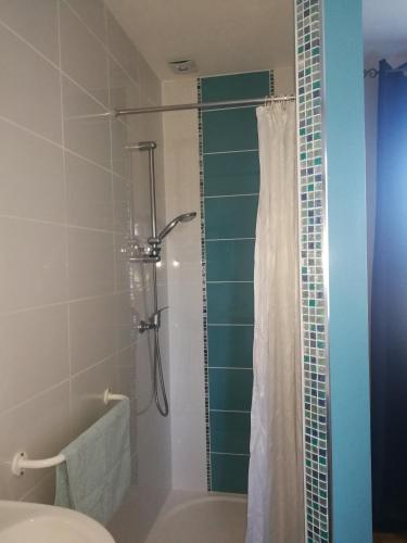 une salle de bain avec une douche avec des toilettes et un lavabo dans l'établissement Chambres d'hôte de Sauviolle 2, à Frontenac