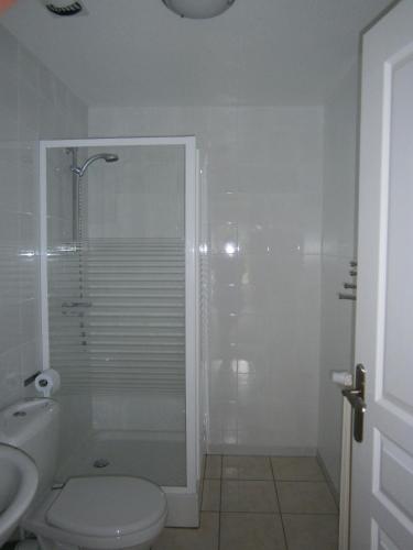 a bathroom with a shower and a toilet and a sink at Les Sources in Saint-Jacques-des-Blats