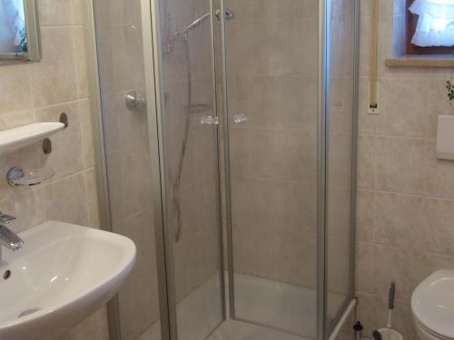 a shower with a glass door next to a sink at Spechthäusl in Bayerisch Gmain