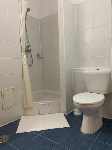 a white bathroom with a toilet and a shower at Hotel Veștem in Veştem