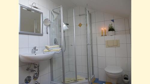 La salle de bains est pourvue d'une douche, d'un lavabo et de toilettes. dans l'établissement Feriendomizil Carmen Hofmann, à Absberg