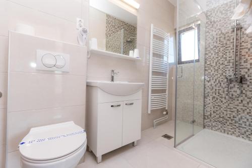 a bathroom with a toilet and a sink and a shower at Pansion Croatia in Starigrad
