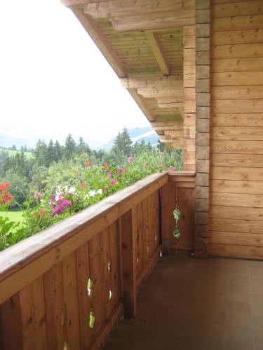 Balkoni atau teres di Apartments Spiegl Holzmann