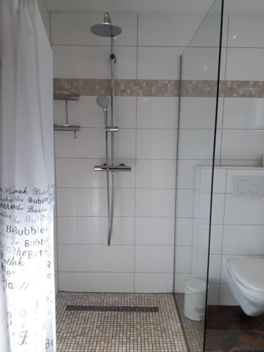a shower in a bathroom with a toilet at Monteurhaus Scheidter 42 in Saarbrücken