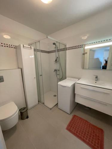 y baño con ducha, aseo y lavamanos. en Appartement CUMARU vue mer, en Saint-Florent