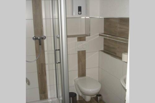 a small bathroom with a toilet and a shower at Ferienwohnung Rheinblick Bacharach am Rhein in Bacharach