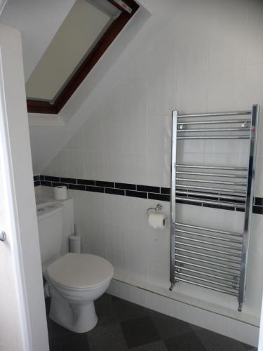 a bathroom with a toilet and a mirror at Cranmore Guest House in Torquay