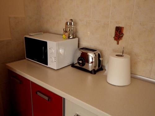 a kitchen counter with a microwave and a toaster at Apartamenty przy Głównym Deptaku in Wisła
