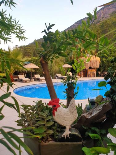 a statue of a chicken next to a swimming pool at Portalimo Lodge Hotel - Adult Only +12 in Cıralı