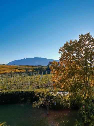 Gallery image of Mare e Monti in Arielli