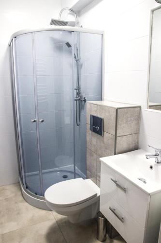 a bathroom with a shower with a toilet and a sink at Willa Koala in Karpacz