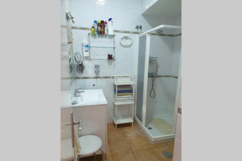 a bathroom with a shower and a sink and a toilet at Carihuela Park Palace Studio in Torremolinos