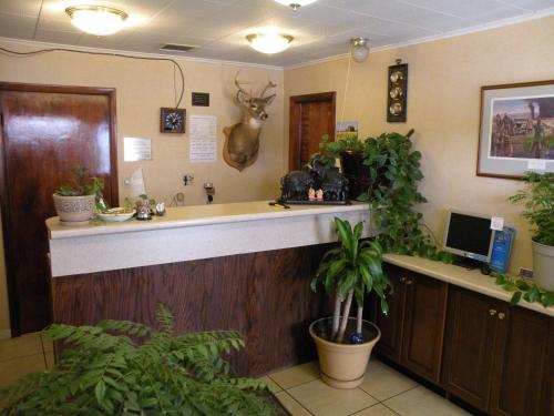 a waiting room with a counter with plants in it at Scottish Inns Fayetteville in Fayetteville