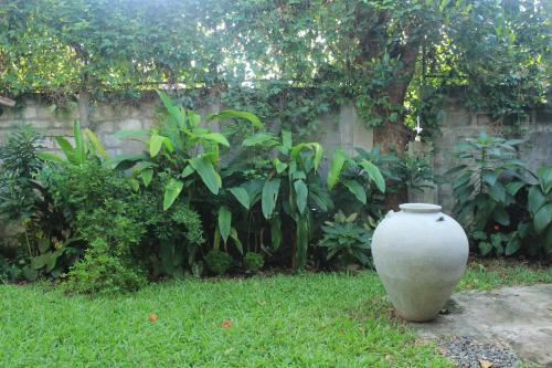 Jardín al aire libre en Villa Escondite - The Hotel