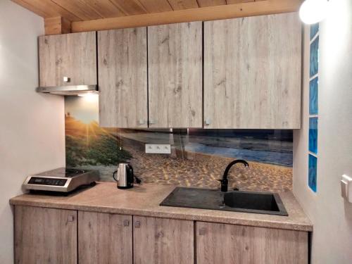 a kitchen with wooden cabinets and a sink at Apartamenty Plażowa 11 in Darłówko
