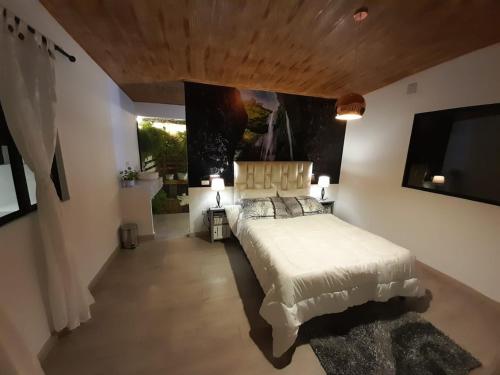 佩雷拉的住宿－Cabaña miramar，一间卧室配有一张大床和电视