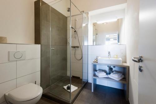 a bathroom with a shower and a toilet and a sink at Berghaus Freiburg - Appartement Hotel auf dem Schauinsland in Oberried