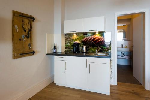 a kitchen with white cabinets and a counter top at Berghaus Freiburg - Appartement Hotel auf dem Schauinsland in Oberried