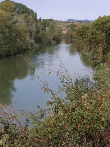 a river with trees on the side of it at Casa Rural Osante in Labastida