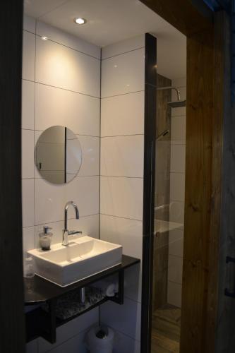a bathroom with a sink and a mirror and a shower at Bed & Breakfast aan de Beek in Arcen