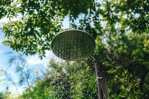 a frisbee is hanging from a tree at Vila Bambu Ilhabela, Santa Tereza in Ilhabela