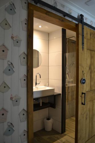 a bathroom with a sink and a mirror at Bed & Breakfast aan de Beek in Arcen