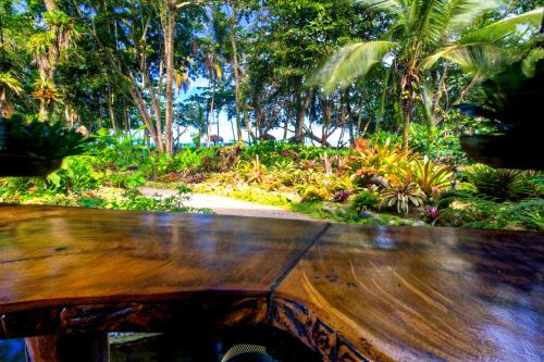 a wooden bench in front of a park with palm trees at Hotel Banana Azul - Adults Only in Puerto Viejo