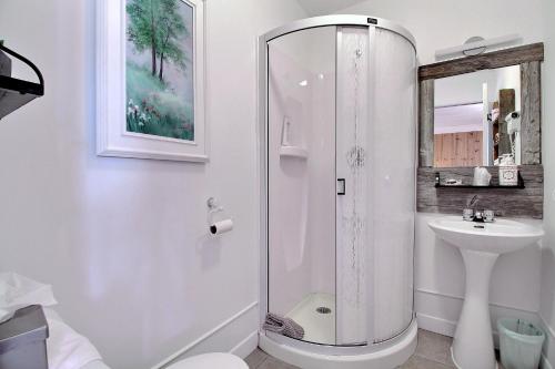 W łazience znajduje się prysznic i umywalka. w obiekcie Les Gites Makadan w mieście Normandin